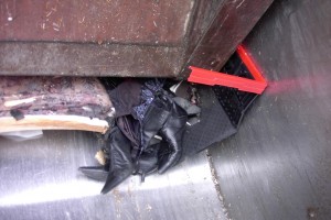 Harir01 106.jpg (267.09 KiB) 8852 mal betrachtet Schon fast im Bauch des Müllautos, fängt der geile Müll an zu rutschen und man kann nun endlich mehr erkennen.