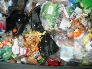 Müll1212 042.jpg (308.07 KiB) 7811 mal betrachtet Was für ein irrer Müllfund!