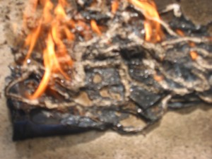 IMG_0850.JPG