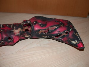 DSCN4690.JPG