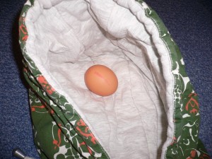 P1080823.JPG (398.73 KiB) 3900 mal betrachtet wo kommt das Ei her? Das muss ich dort rausholen