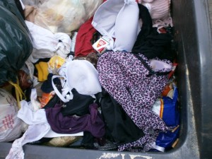 Müll0113 018.jpg (319.44 KiB) 5605 mal betrachtet Eine reiche Auswahl bot sich mir da.