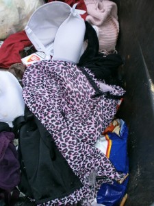 Müll0113 022.jpg (324.54 KiB) 5605 mal betrachtet Nur noch Lumpendreck!