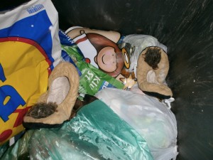 Wohnt unser Mitglied &quot;Engelchen&quot; vielleicht im westlichen Ruhrgebiet?