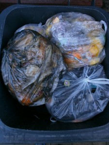 Müll0213 172.jpg (286.95 KiB) 5170 mal betrachtet Und wieder ein Haufen stinkender Dreck auf den geilen Abfällen!