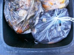 Müll0213 171.jpg (312.5 KiB) 5170 mal betrachtet Die süße Girly-Jacke liegt schon tief im Dreck und ist kaum noch zu erkennen.